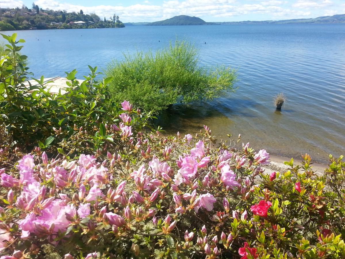 Koutu Beach Bed And Breakfast Rotorua Zewnętrze zdjęcie